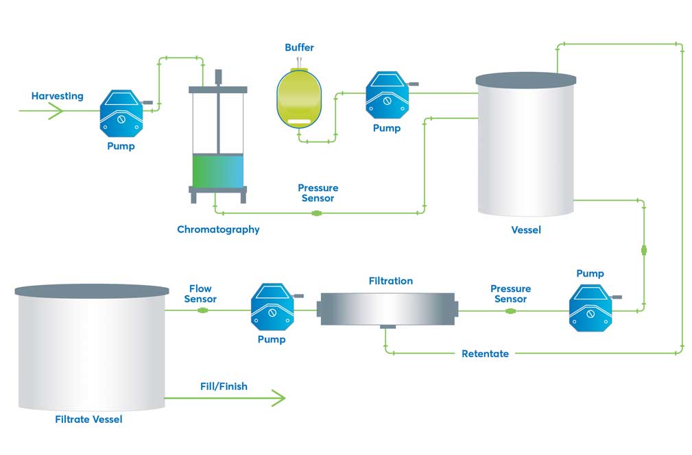 Typical products for Bioprocess Purification - peristaltic pumps, peristaltic pump tubing, chromatography, fittings, bioprocessing containers, filtration, flow and pressure sensors