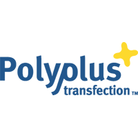 Polyplus Transfection